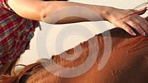 Girl stroking a brown horse on the mane outdoors.