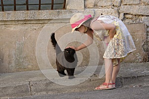 Girl stroking cat