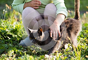 Girl stroking a cat in the park