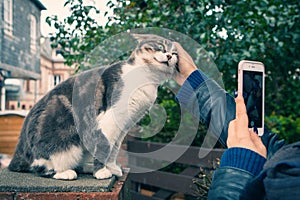 Girl stroking cat on the street and photographs on the smartphone