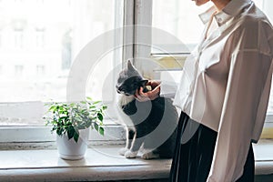 Girl stroking a cat on a windowsill