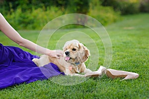 Girl stroking a dog.