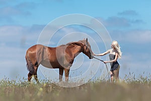 Girl stroking gelding