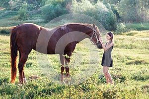 Girl stroking her horse