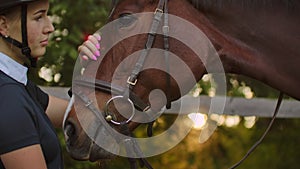 Girl is stroking her horse while it eating a grass