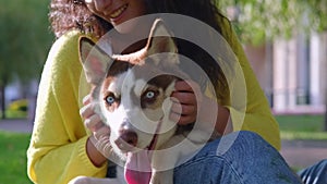 Girl stroking her husky dog with love