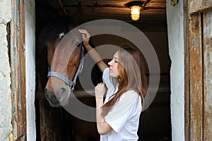 Girl stroking horse