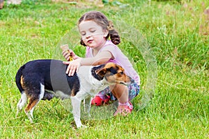 Girl stroking s mongrel dog outdoorss