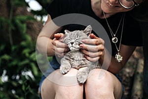 The girl is stroking a Scottish kitten, the cat is high and purring