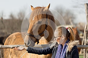 Girl stroking a thoroughbred horse in the pen for paddock