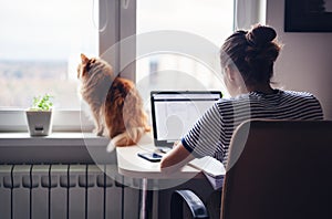 Girl student freelancer working at home on a task, the cat is si