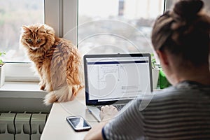 Girl student freelancer working at home on a task, the cat is si