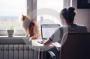 Girl student freelancer working at home on a task, the cat is si photo