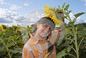 The girl with sunflower