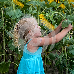 Girl and sunflower