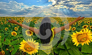 Girl in sunflower field in summer with arms raised up