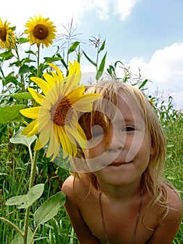 The girl in sunflowers