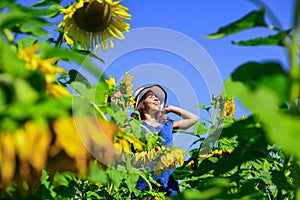 Girl at sunflowers field enjoy yellow bloom on sunny day