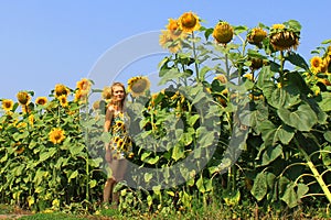 The girl in the sunflowers