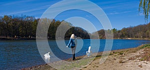 Girl and swans going away