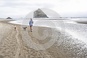 Girl in a sweatshirt walks her dogs along the coast in the Pacific Northwest