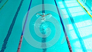 Girl Swimmer Dive In Swimming Pool. Female swimmer dives in swimming pool for a swim exercise. Top view.