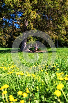 Girl swinging on the swing on the tree in summer country