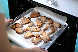 A girl takes out Gingerbread from the oven. Baking in the form of forest animals. Dessert on baking paper. Sea Wave Kitchen.