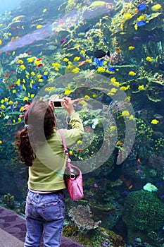 Girl Takes Picture At Aquarium