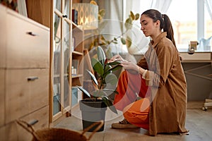 Girl Taking Care of Potted Green Houseplants Cleaning Home