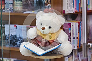 Girl teddy bear reading a childhood book 