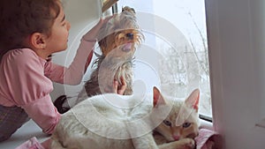 Girl teen and pets cat and dog looking out pet the window, the cat sleeps
