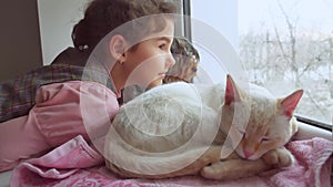Girl teen and pets cat and dog looking out the window, the cat sleeps