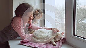 Girl teen and pets cat and dog looking out the window, cat sleeps pet