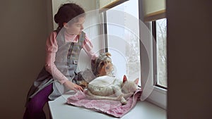 Girl teen and pets cat and dog pet looking out the window, the cat sleeps