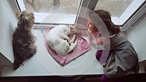 Girl teen and pets cat and dog a pet looking out the window, cat sleeps