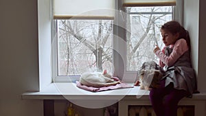 Girl teen and pets cat and pet dog a looking out window, cat sleeps