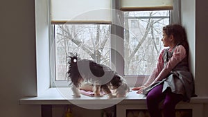 Girl teen and pets cat and pet dog a looking out window, cat sleeps