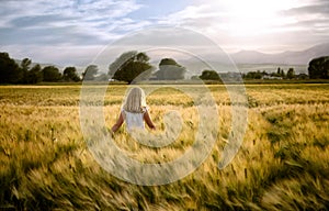 Girl or teen walking through wheat field