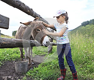 Girl tenderly stroking a donkey.