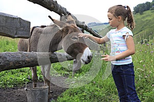 Girl tenderly stroking a donkey.