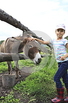 Girl tenderly stroking a donkey.