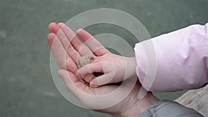 Girl throw stones into the sea