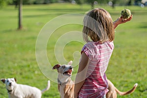 Girl throwing ball for a dog