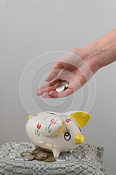 The girl throws a coin into the piggy bank. Piggy bank in the form of a painted pig. A handful of coins