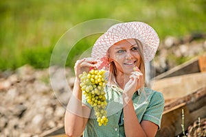 Girl to harvest vineyards, collects the selected grape bunches. Woman holding a bunch of grape. Wine, grapes. Girl