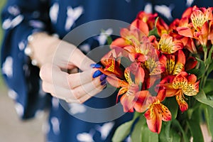 The girl touched a flower bouquet of astromeria orange color photo