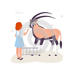 Girl touching an antilope in the contact zoo vector flat illustration isolated on light backgroung. photo