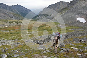 Girl tourist goes uphill with a backpack