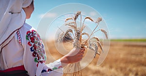 Girl in traditional ethnic folklore costume with Bulgarian embroidery standing on a harvest golden wheat field